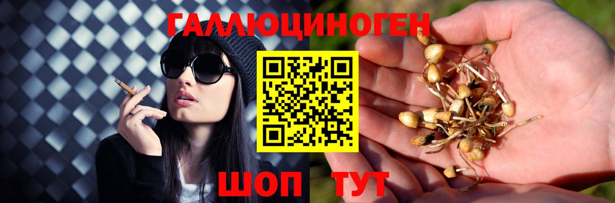 Котлас  Псилоцибиновые грибы MAGIC MUSHROOMS  Вход с VPN 