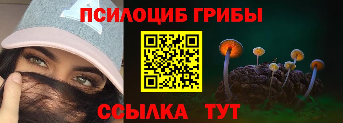 NBOMe Котлас